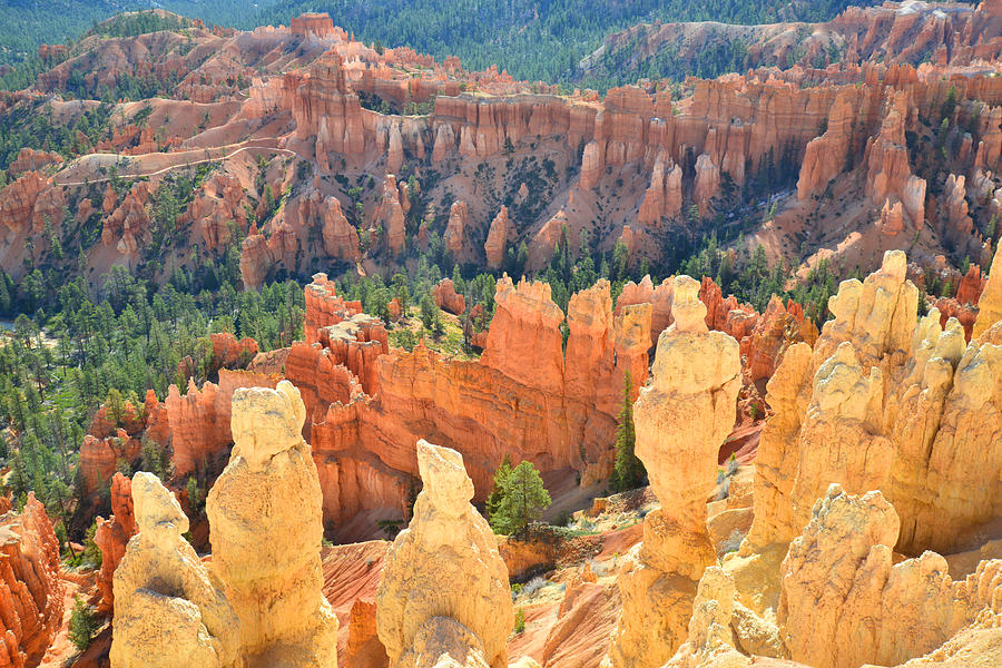 Bryce Canyon #28 Photograph by Ray Mathis