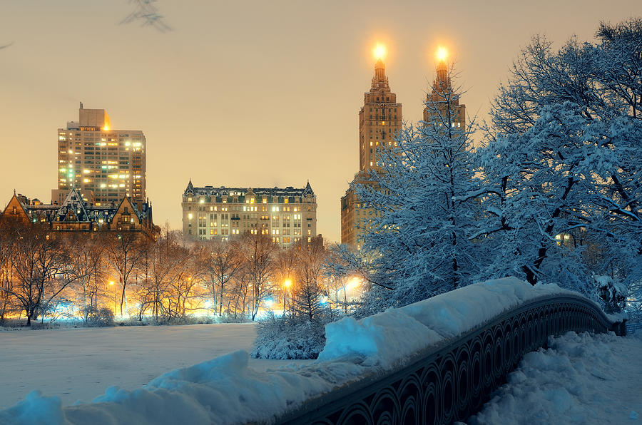Central Park winter #21 Photograph by Songquan Deng