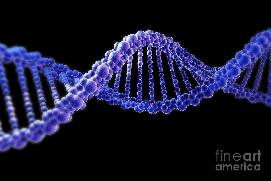 Dna #21 Photograph by Science Picture Co