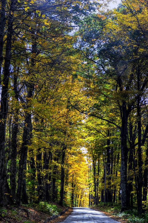 Fall Foliage in Massachusetts USA #21 Photograph by Paul James Bannerman
