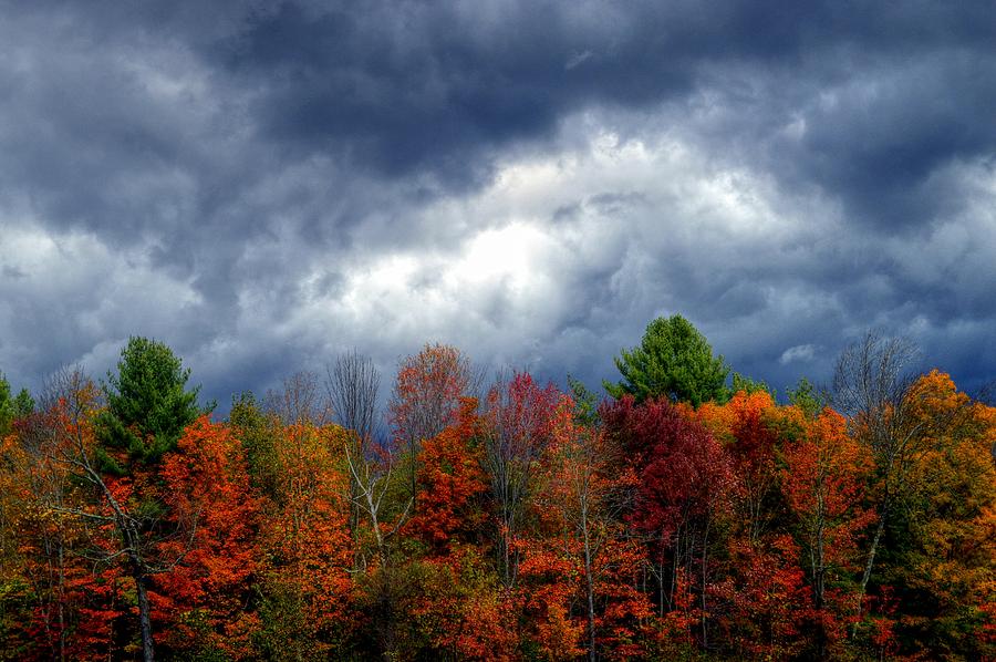 Fall Foliage in New Hampshire #21 Photograph by Paul James Bannerman
