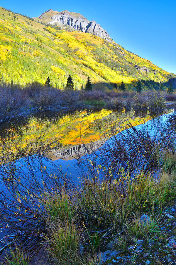 Red Mountain Pass Fall Colors #8 Photograph by Ray Mathis