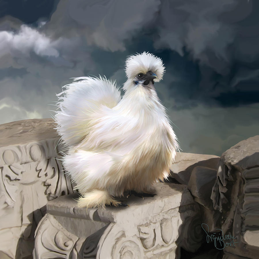 Chicken Digital Art - 21. Silkie Akropolis by Sigrid Van Dort Chicken Digital Art - 21. Silkie Akropolis by Sigrid Van Dort