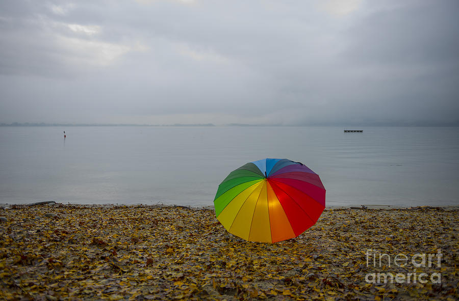 Umbrella #21 Photograph by Mats Silvan
