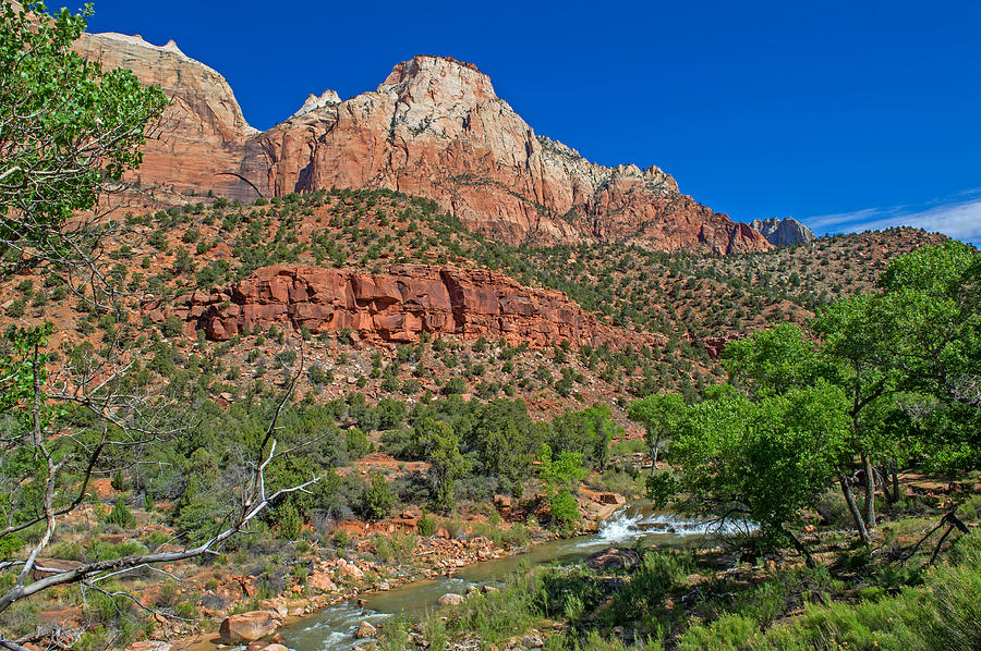 Zion National Park #21 Photograph by Willie Harper