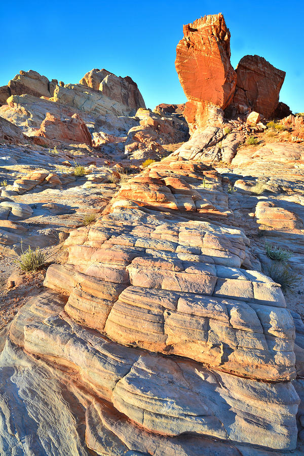 Valley of Fire #416 Photograph by Ray Mathis