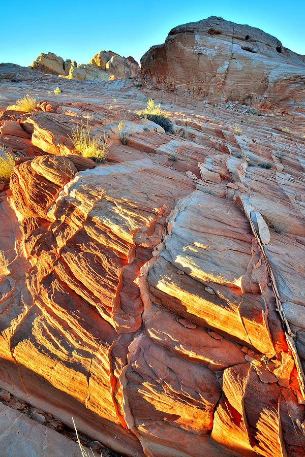 Valley of Fire #213 Photograph by Ray Mathis