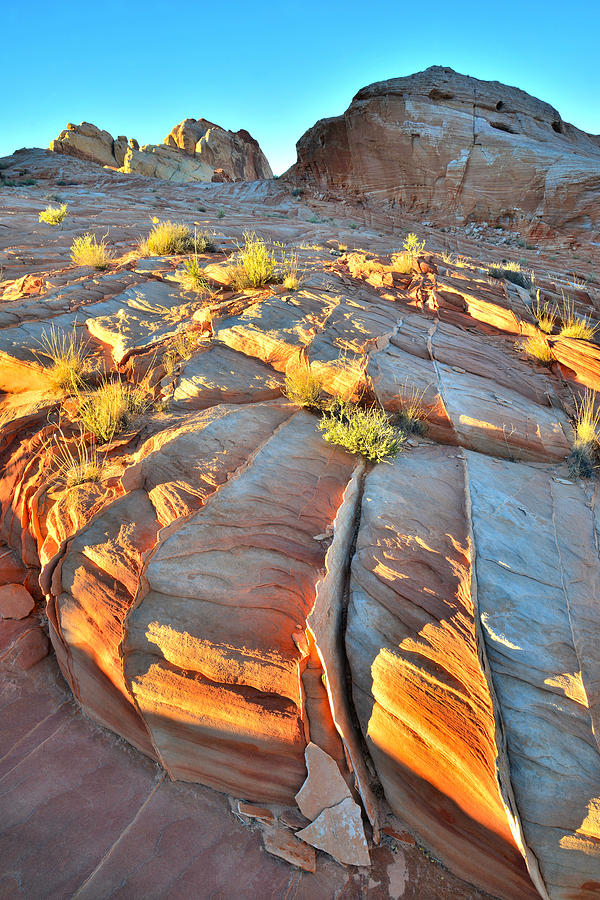 Valley of Fire #516 Photograph by Ray Mathis