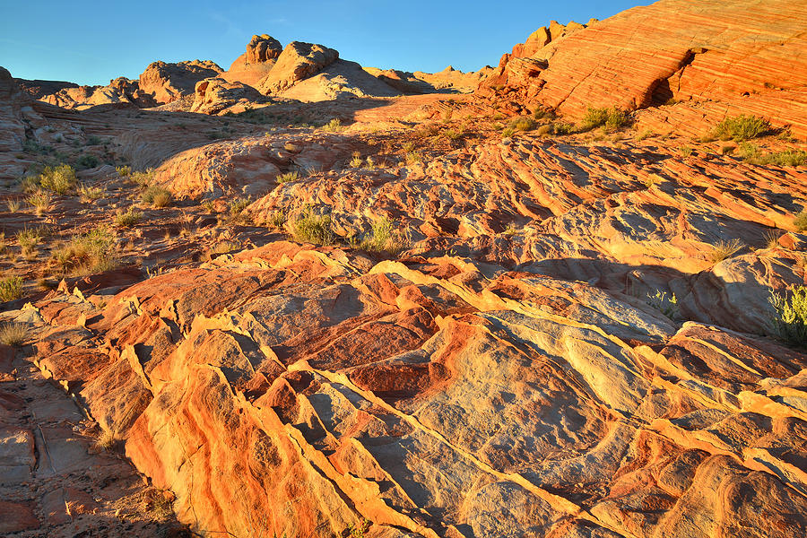 Valley of Fire #217 Photograph by Ray Mathis