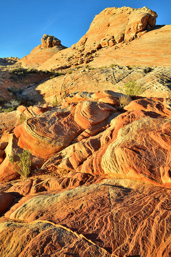 Valley of Fire #218 Photograph by Ray Mathis