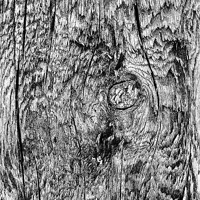 Abstract Photograph - Wooden Post B n W by Jason Roust