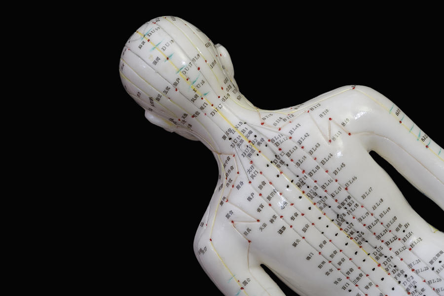Acupuncture Points #22 Photograph by Science Stock Photography