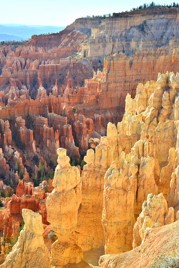 Bryce Canyon National Park Photograph - Bryce Canyon #16 by Ray Mathis
