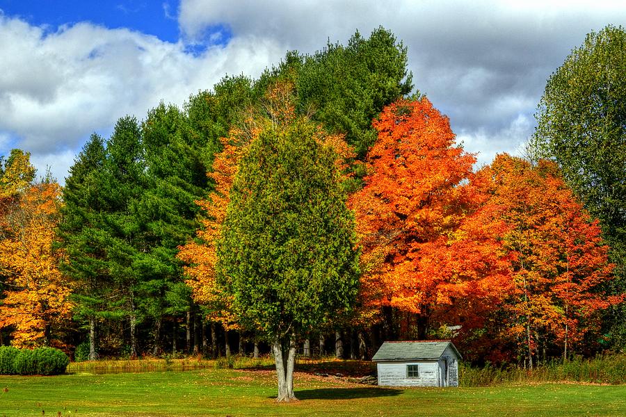 Fall Foliage in Massachusetts USA #22 Photograph by Paul James Bannerman