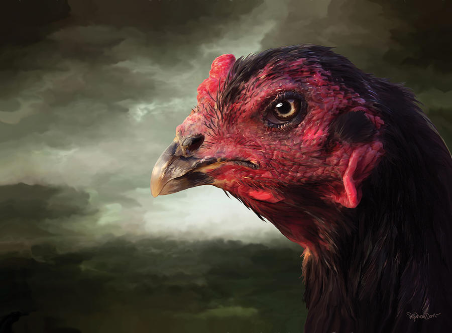 Chicken Digital Art - 22. Game hen by Sigrid Van Dort Chicken Digital Art - 22. Game hen by Sigrid Van Dort