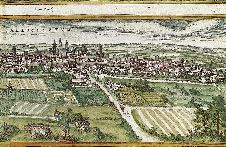 Landscape Photograph - Ortelius, Abraham 1527-1598 Braun #22 by Everett