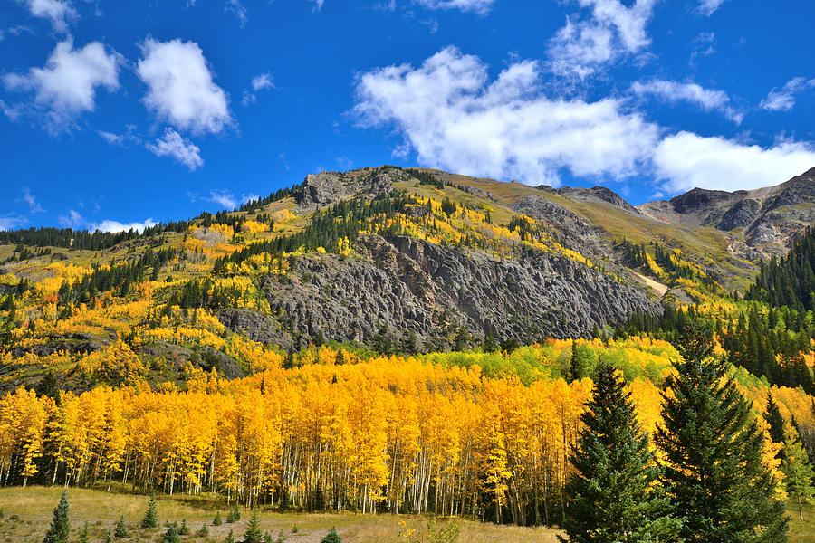 Red Mountain Pass Fall Colors Photograph by Ray Mathis - Fine Art America