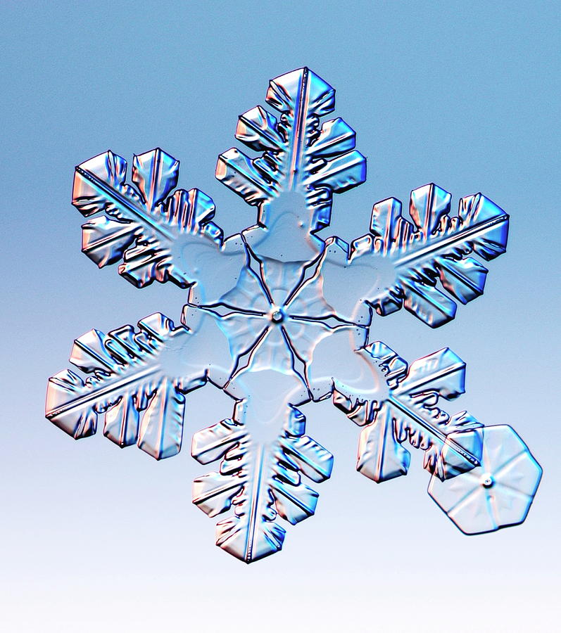Snowflake #22 Photograph by Kenneth Libbrecht/science Photo Library