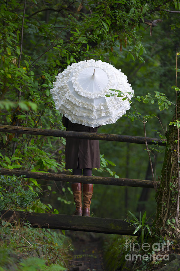 Umbrella #22 Photograph by Mats Silvan