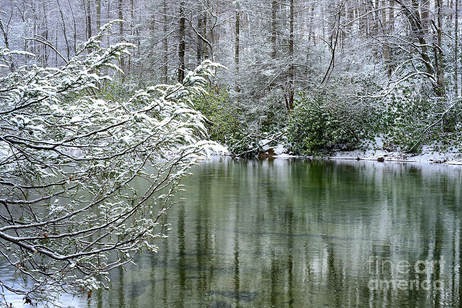 Winter Photograph - Winter along Williams River #22 by Thomas R Fletcher