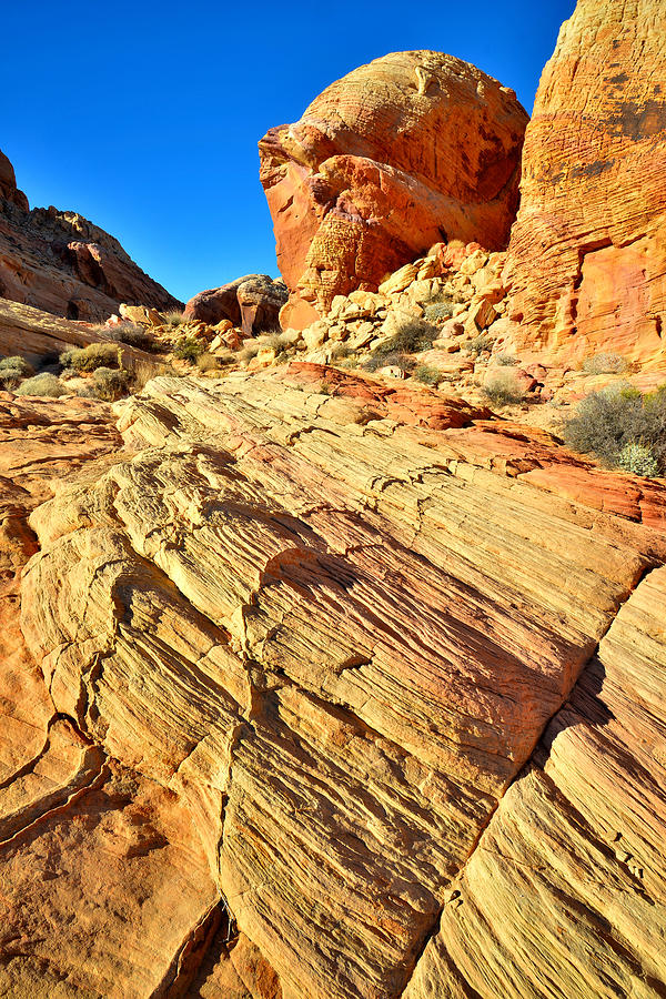 Valley of Fire #222 Photograph by Ray Mathis