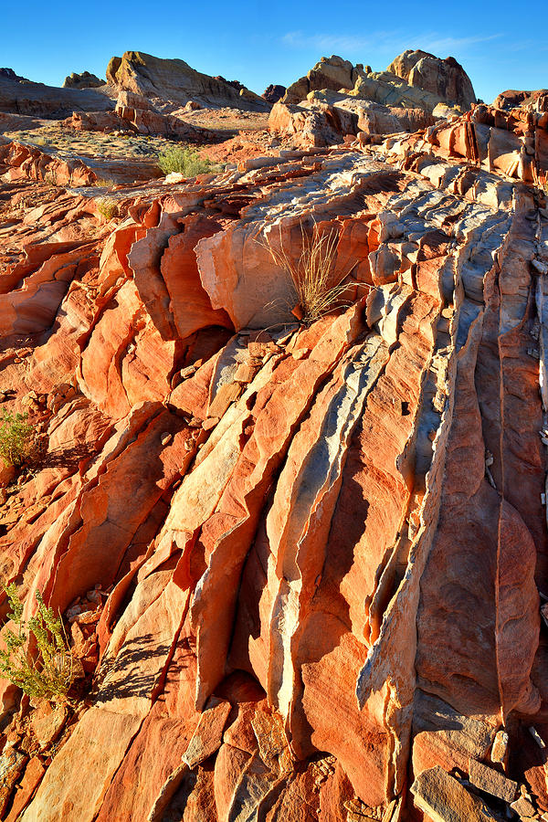 Valley of Fire #224 Photograph by Ray Mathis