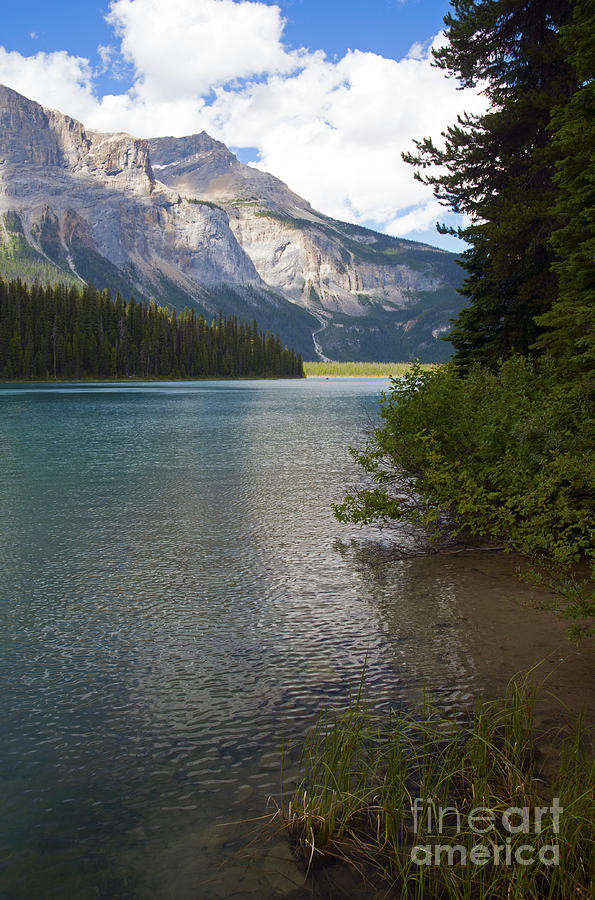 223P Emerald Lake Photograph by Cindy Murphy - NightVisions 