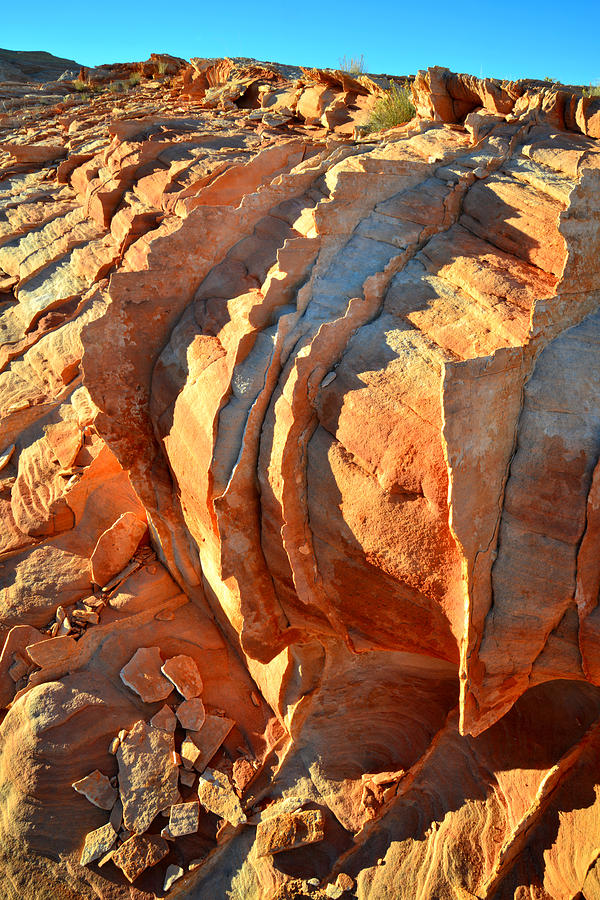 Valley of Fire #226 Photograph by Ray Mathis