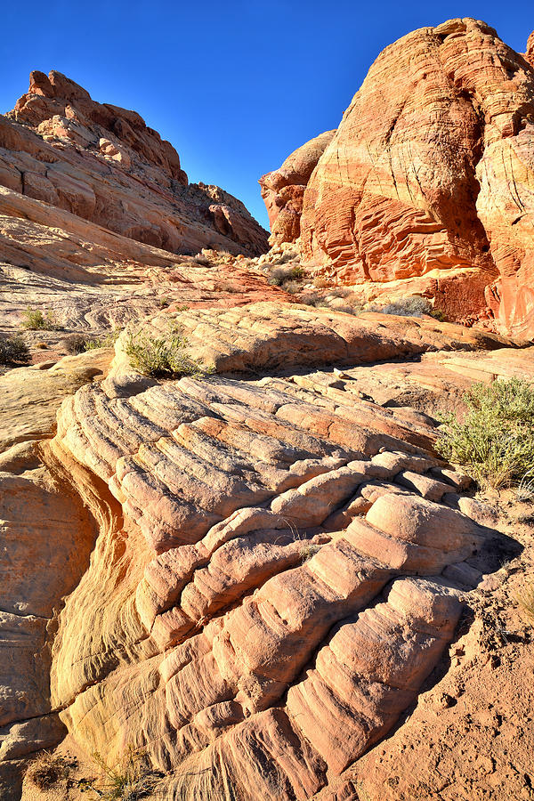 Valley of Fire #227 Photograph by Ray Mathis