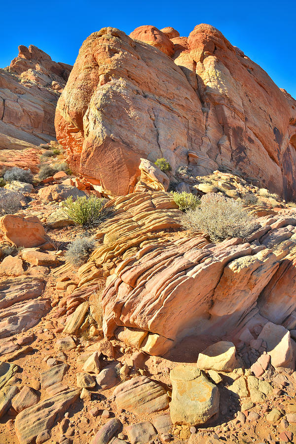 Valley of Fire #228 Photograph by Ray Mathis
