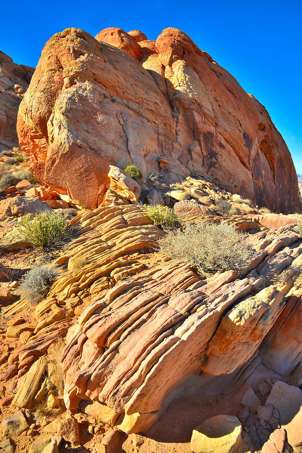 Valley of Fire #229 Photograph by Ray Mathis