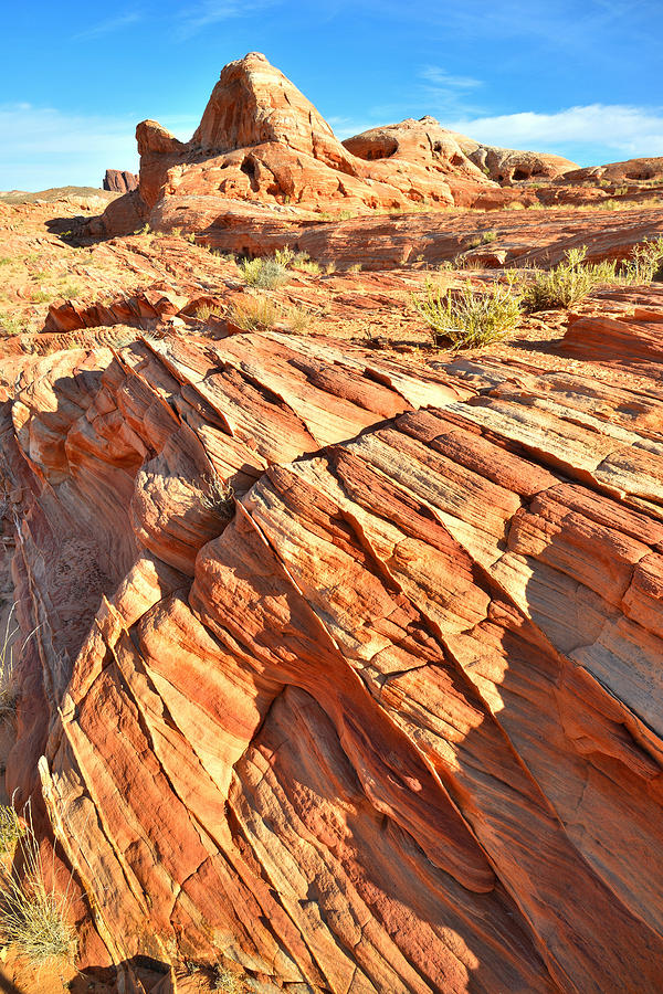 Valley of Fire #230 Photograph by Ray Mathis