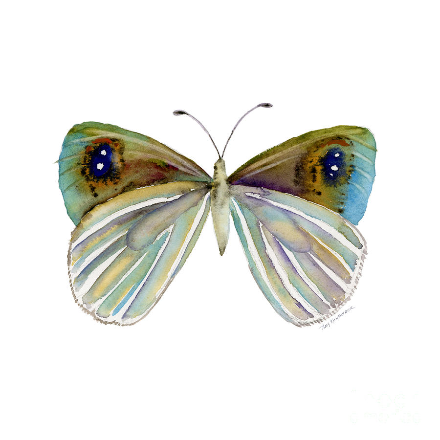 23 Blue Argyrophenga Butterfly Painting