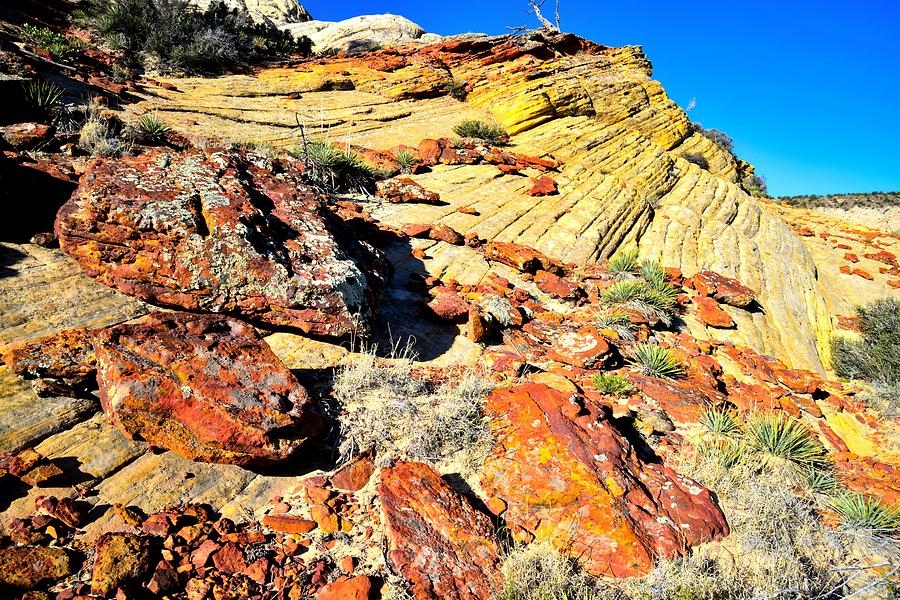 Boulder-Notom Road Rocks #12 Photograph by Ray Mathis