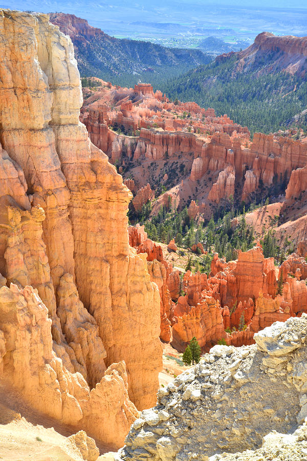 Bryce Canyon #46 Photograph by Ray Mathis
