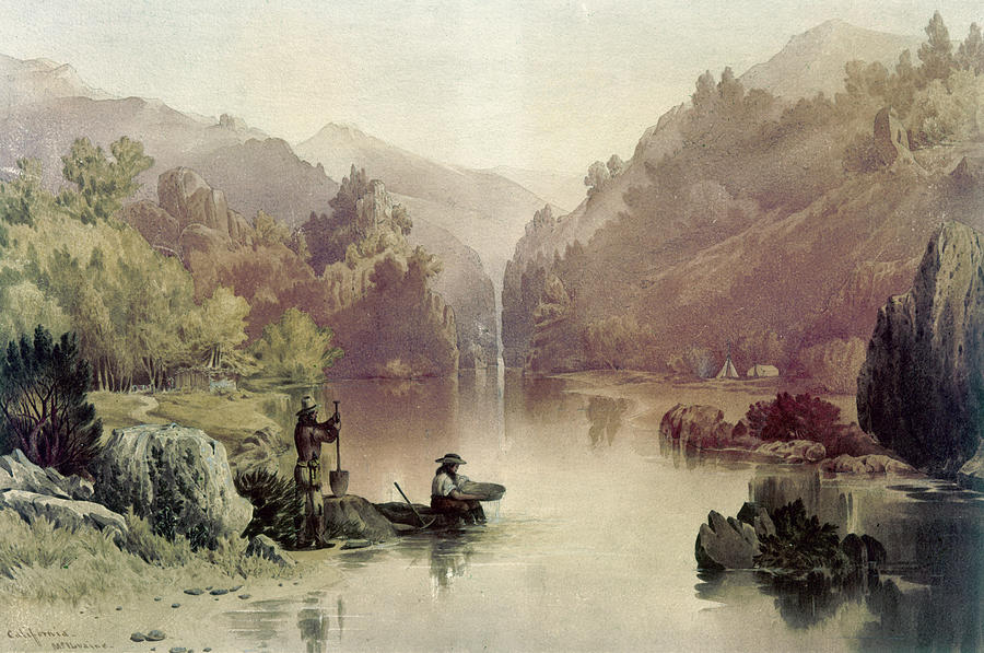 California Gold Rush Painting by William McIlvain