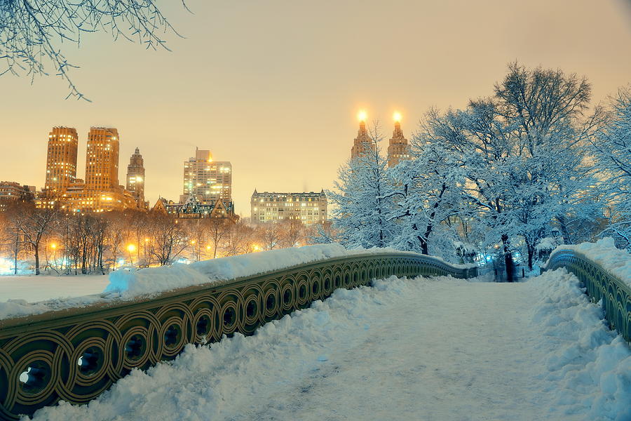 Central Park winter #23 Photograph by Songquan Deng