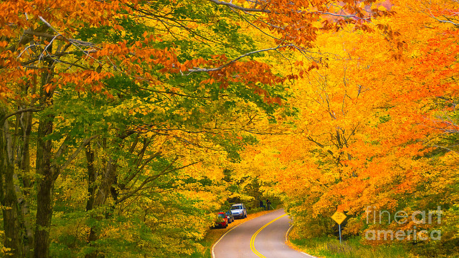 Classic Vermont Foliage. #11 Photograph by New England Photography