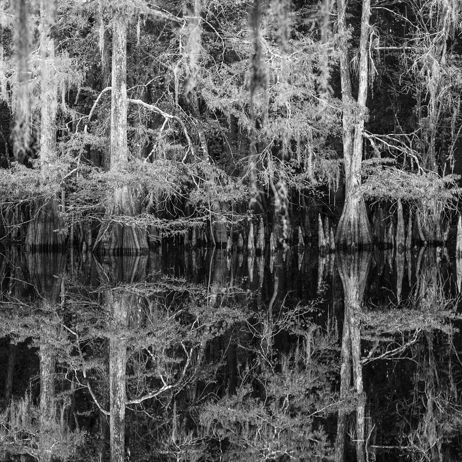 Fisheating Creek Photograph by Jonathan Gewirtz - Fine Art America