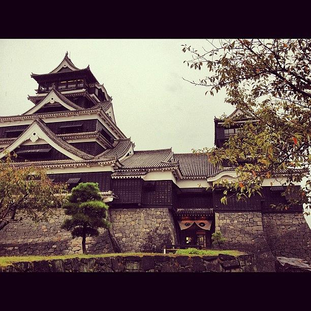 Tree Photograph - #japan #japantrip2012 #ilovejapan #23 by Logan Mcpherson