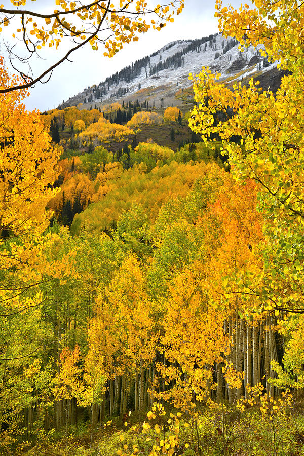 Ohio Pass Fall Colors Photograph