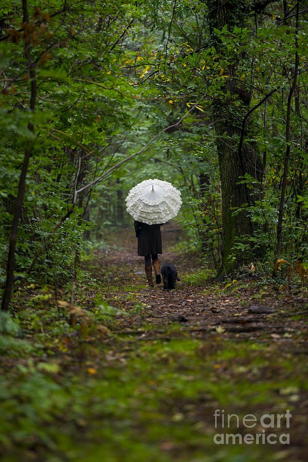 Umbrella #23 Photograph by Mats Silvan