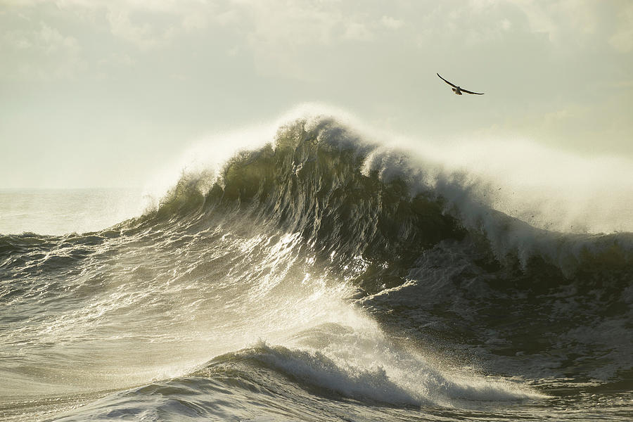 Waves In The Pacific Ocean, San Pedro #23 Photograph by Panoramic Images