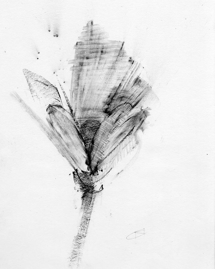 Untitled #358 Drawing by Chris N Rohrbach