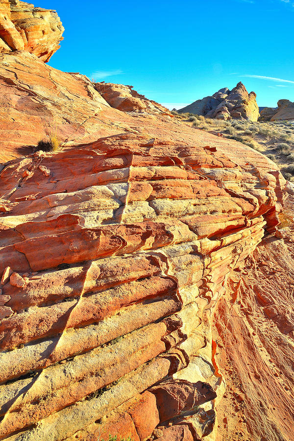 Valley of Fire #220 Photograph by Ray Mathis