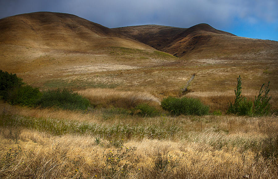 2312HDR - Napa Valley Photograph by Deidre Elzer-Lento