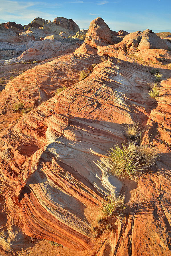 Valley of Fire #236 Photograph by Ray Mathis