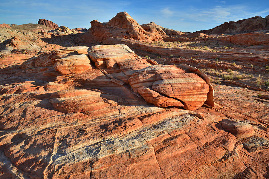 Valley of Fire #240 Photograph by Ray Mathis