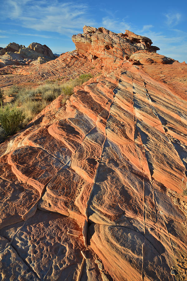 Valley of Fire #382 Photograph by Ray Mathis