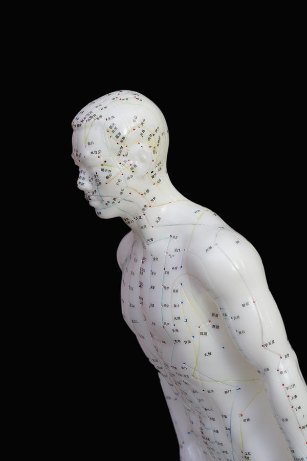 Acupuncture Points #24 Photograph by Science Stock Photography